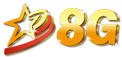 8G